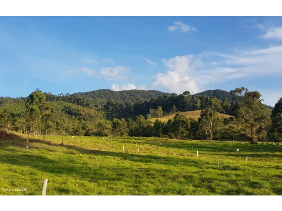 Lote en venta en LA CEJA sector El yarumo