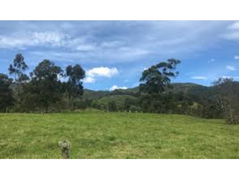 Lote en Venta en La Ceja, sector Vía san Antonio - La ceja