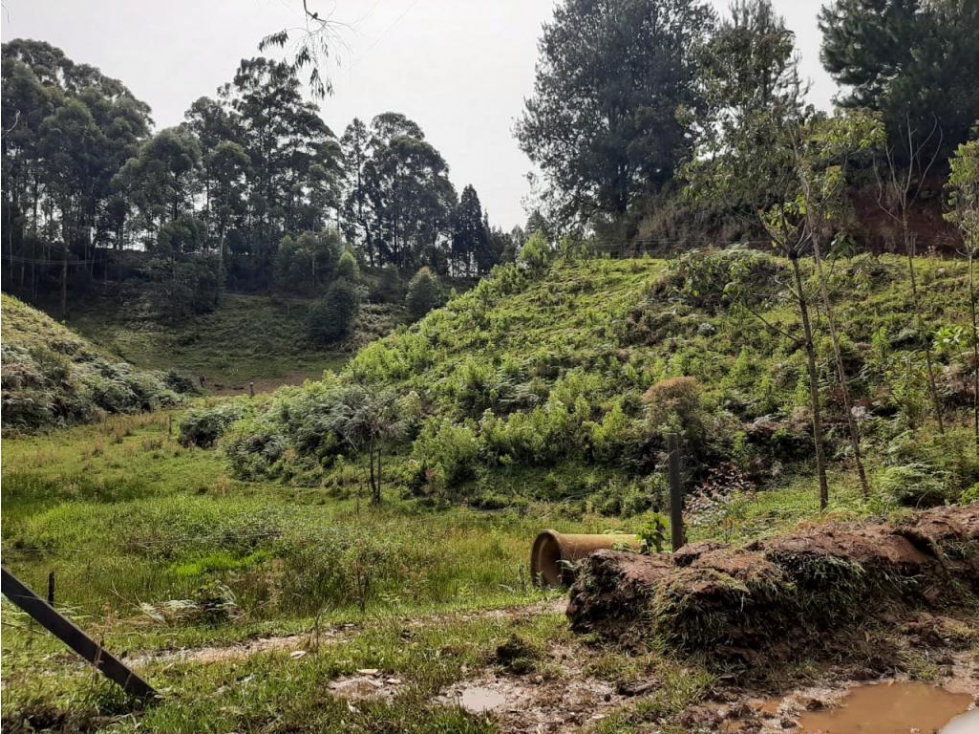 Lote en Vender en Guarne, Vereda La clara — foto 5