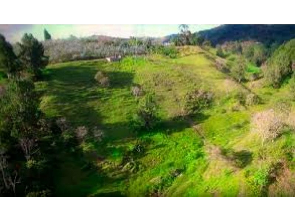 Lote en Venta en Guarne — foto 5