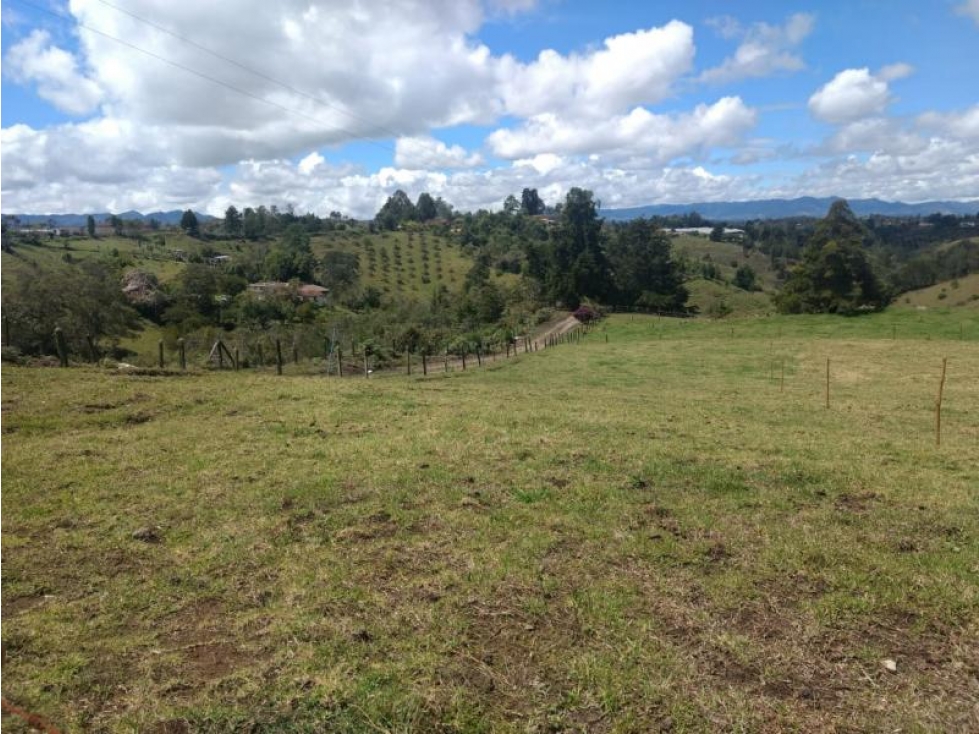 Lote en Venta en Rionegro - 1