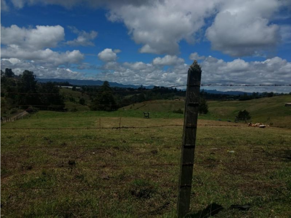 Lote en Venta en Rionegro - 2