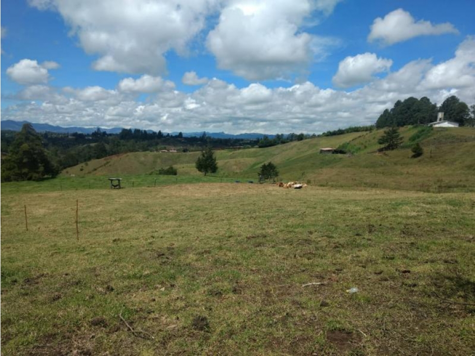 Lote en Venta en Rionegro - 3