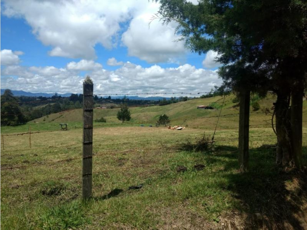 Lote en Venta en Rionegro - 5