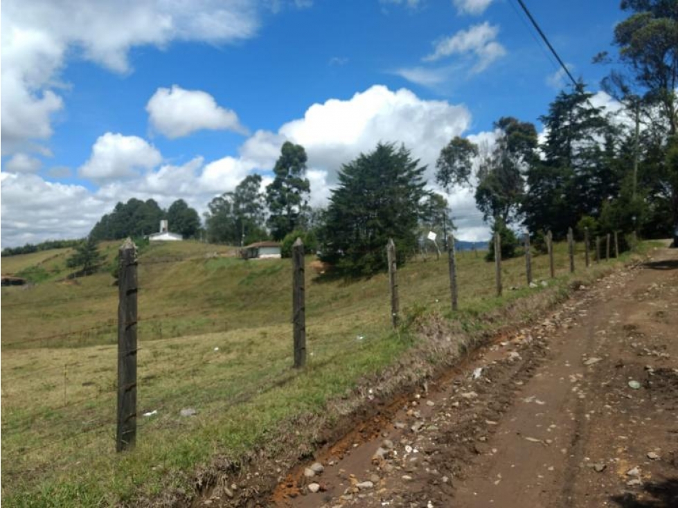 Lote en Venta en Rionegro - 6