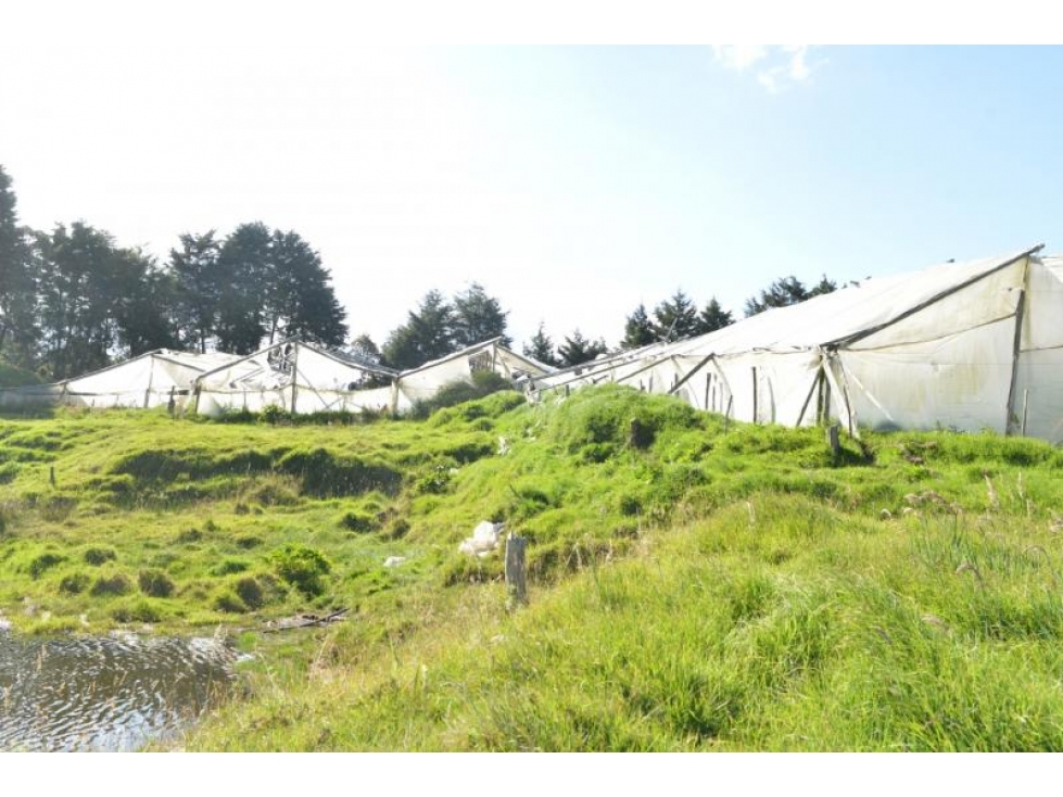 Lote en Venta, en Santa Elena sector Perico en Medellín — foto 3