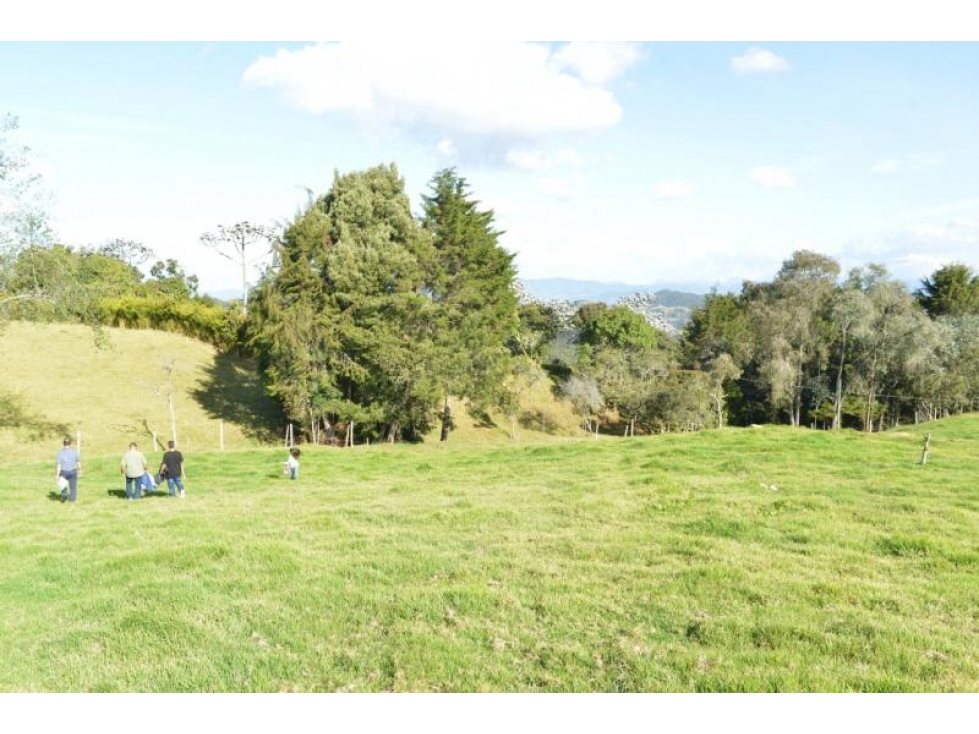 Lote en Venta, en Santa Elena sector Perico en Medellín — foto 5