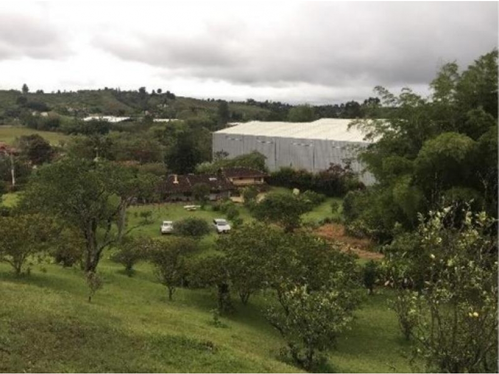Lote en Venta en Guarne