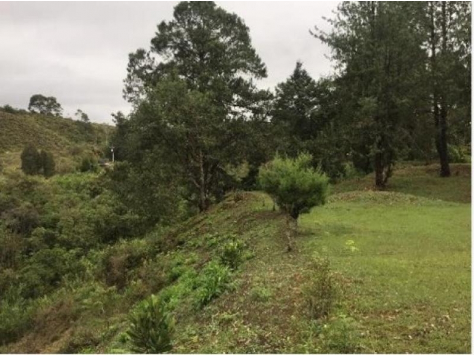 Lote en Venta en Guarne — foto 2