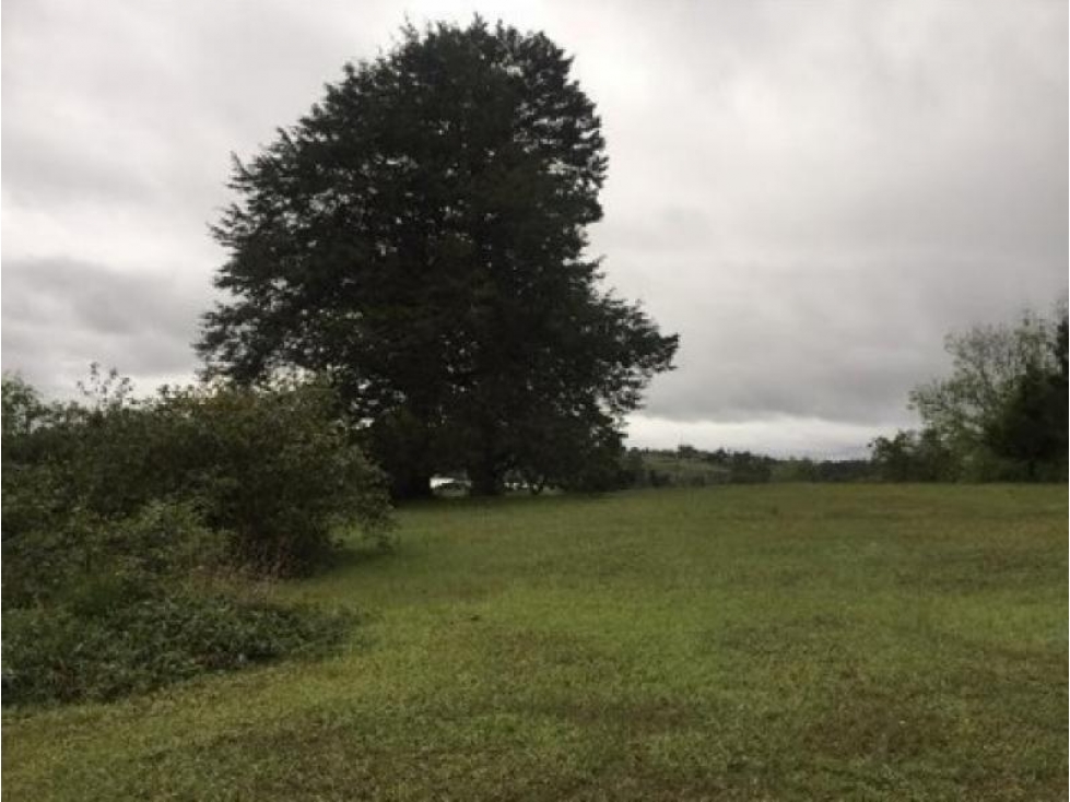 Lote en Venta en Guarne — foto 6