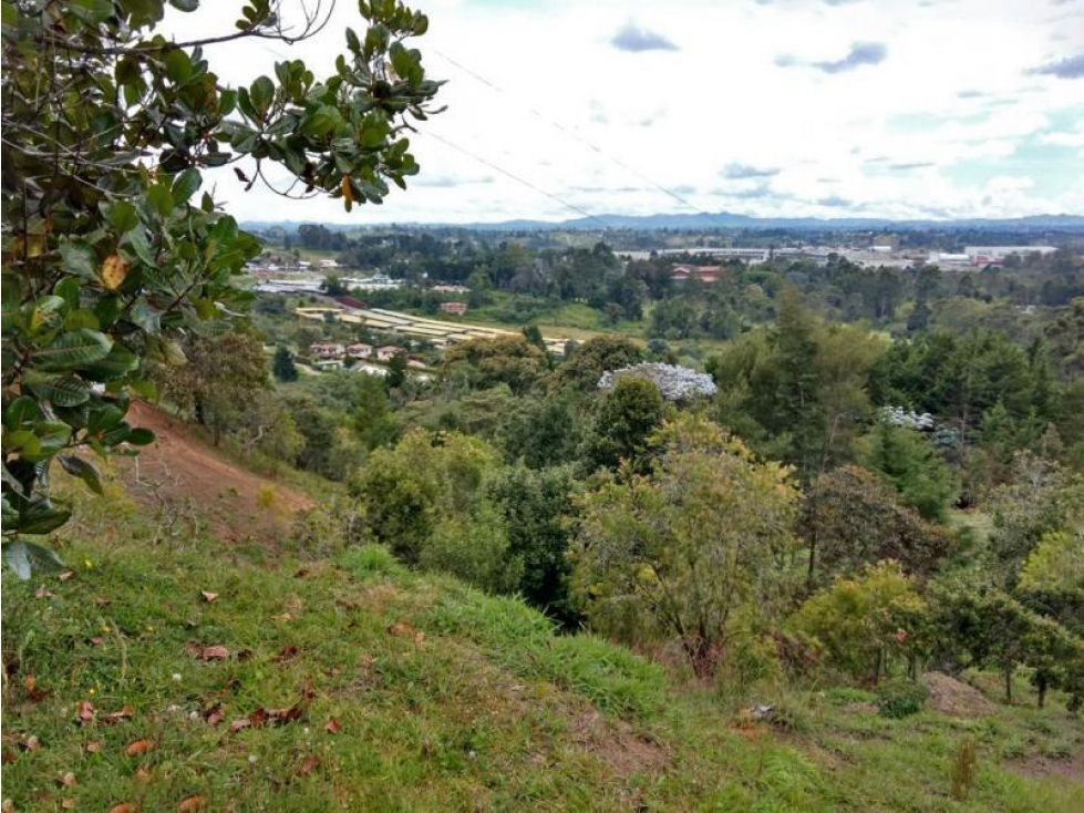 Lote en Venta en Rionegro, sector Aeropuerto y Tunel de Oriente — foto 3