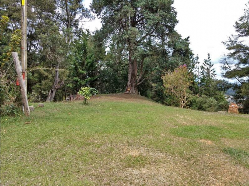 Lote en Venta en Rionegro, sector Aeropuerto y Tunel de Oriente — foto 4