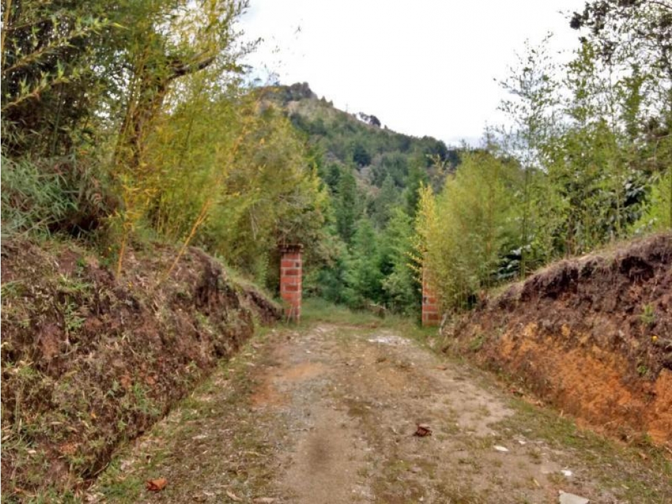 Lote en Venta en Rionegro, sector Aeropuerto y Tunel de Oriente — foto 5