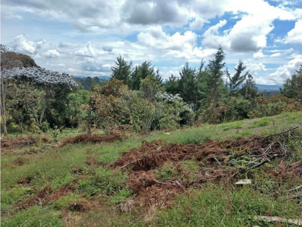 Lote en Venta en Rionegro, sector Aeropuerto y Tunel de Oriente — foto 6