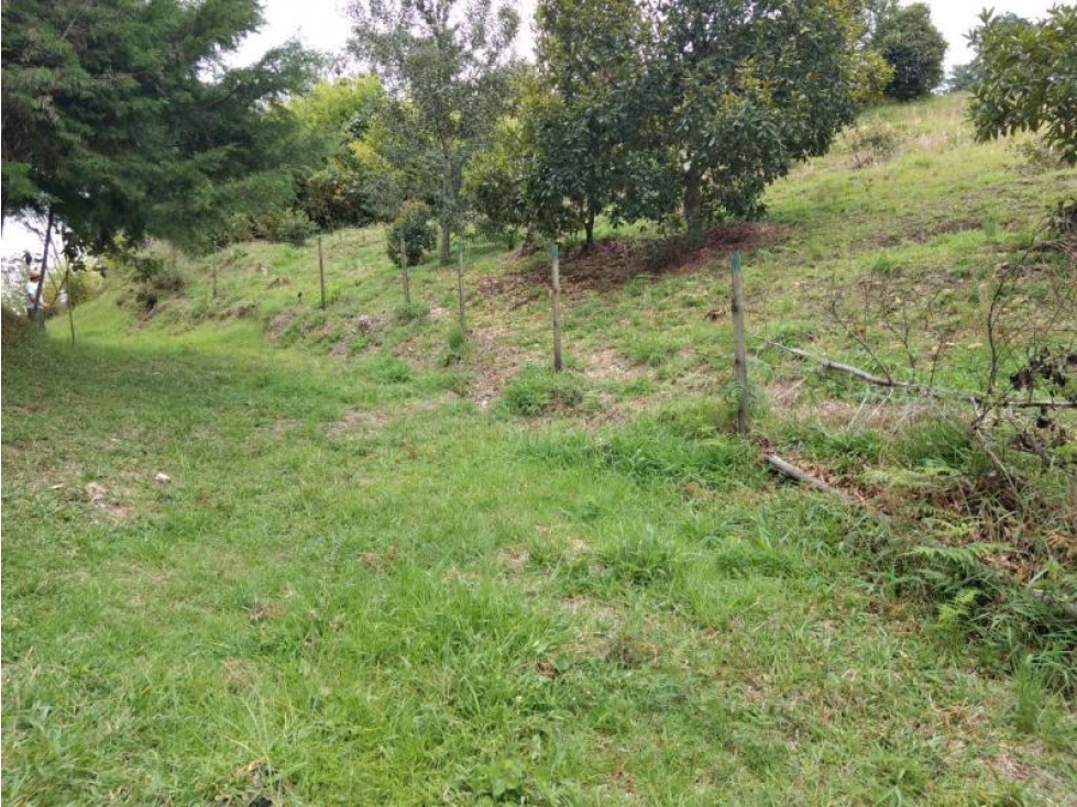Lote en Venta en Rionegro, Sector Aeropuerto J.M.C y Tunel de Oriente. — foto 3