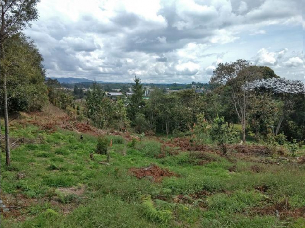 Lote en Venta en Rionegro, Sector Aeropuerto J.M.C y Tunel de Oriente. — foto 5