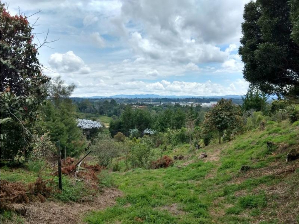 Lote en Venta en Rionegro, Sector Aeropuerto J.M.C y Tunel de Oriente. — foto 6