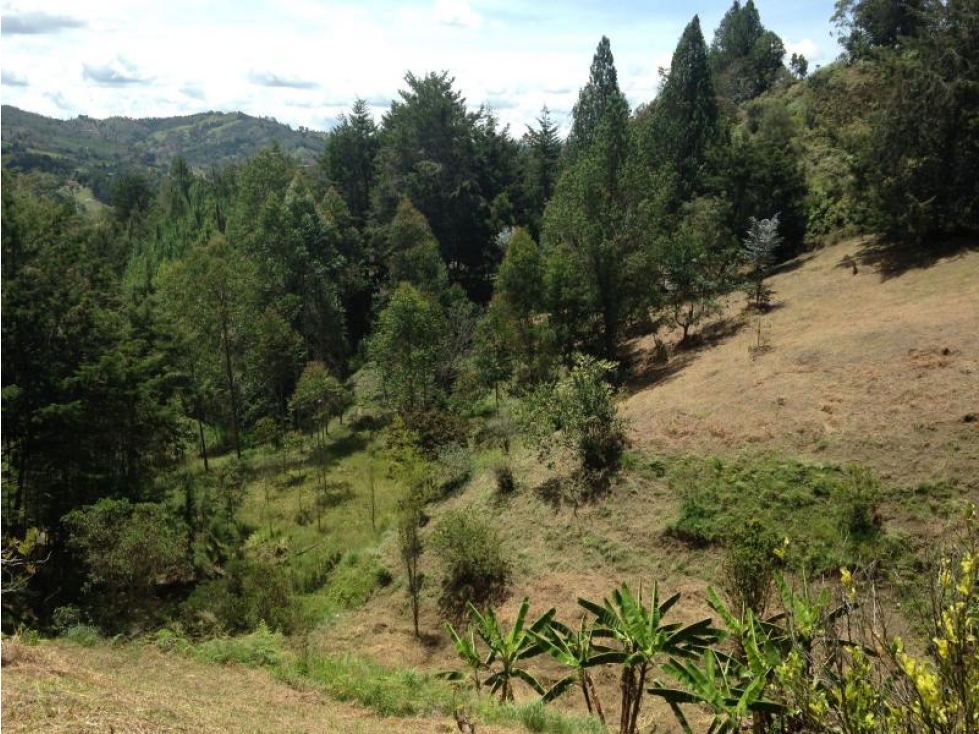 Lote en Venta en Envigado