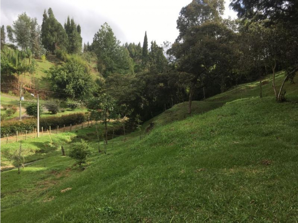 Lote en Venta en Guarne