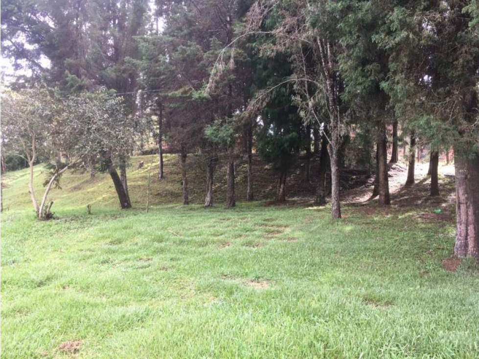 Lote en Venta en Guarne — foto 3