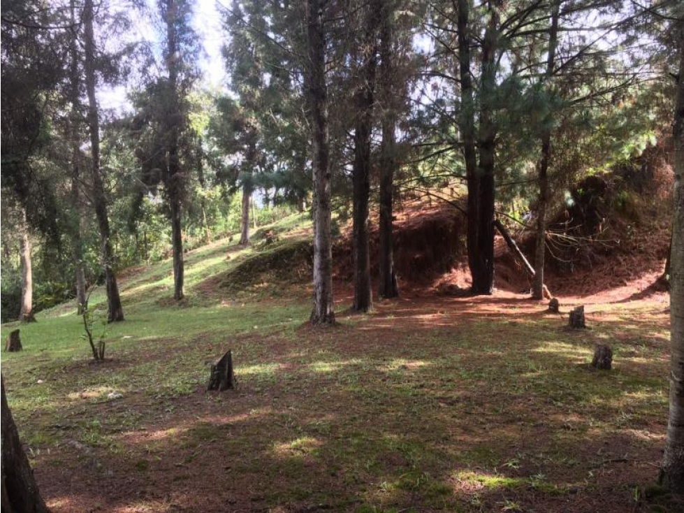 Lote en Venta en Guarne — foto 4