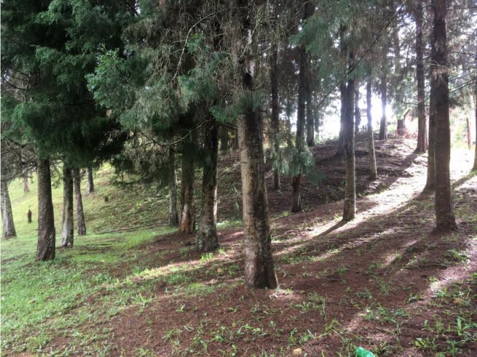 Lote en Venta en Guarne — foto 5