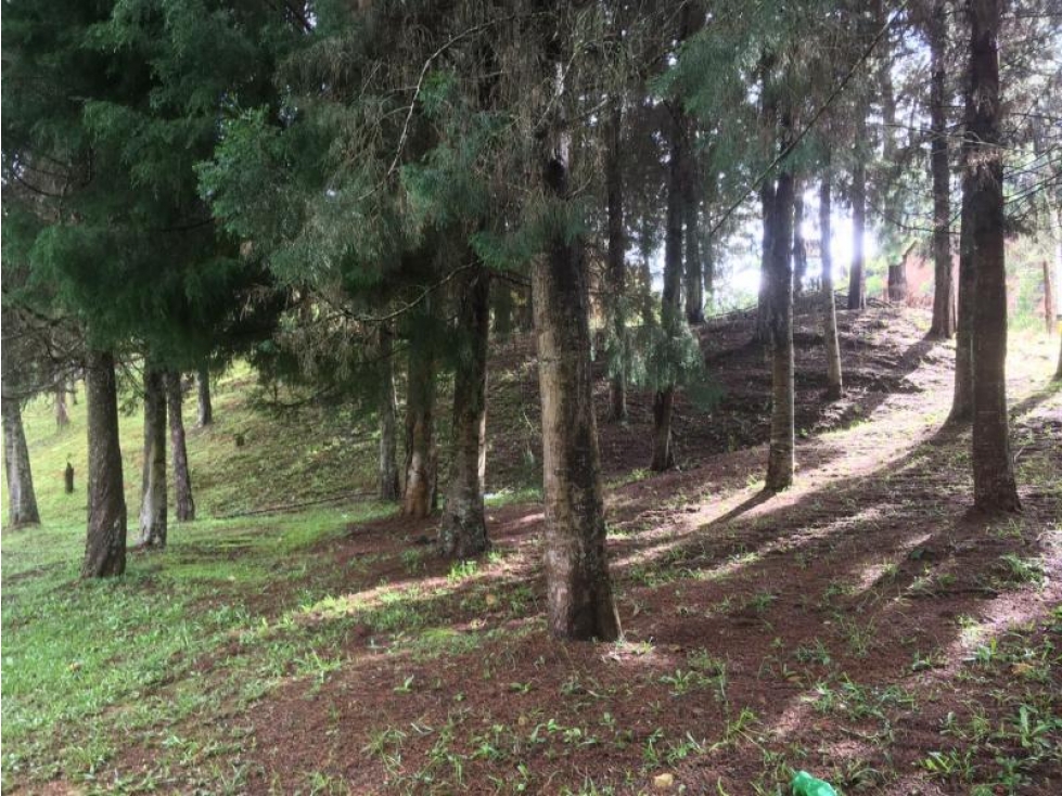 Lote en Venta en Guarne — foto 6