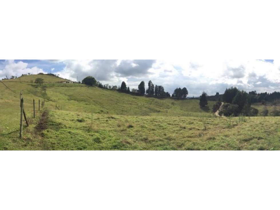 Lote Industrial en Venta entre Municipio de Guarne y Rionegro. - 2