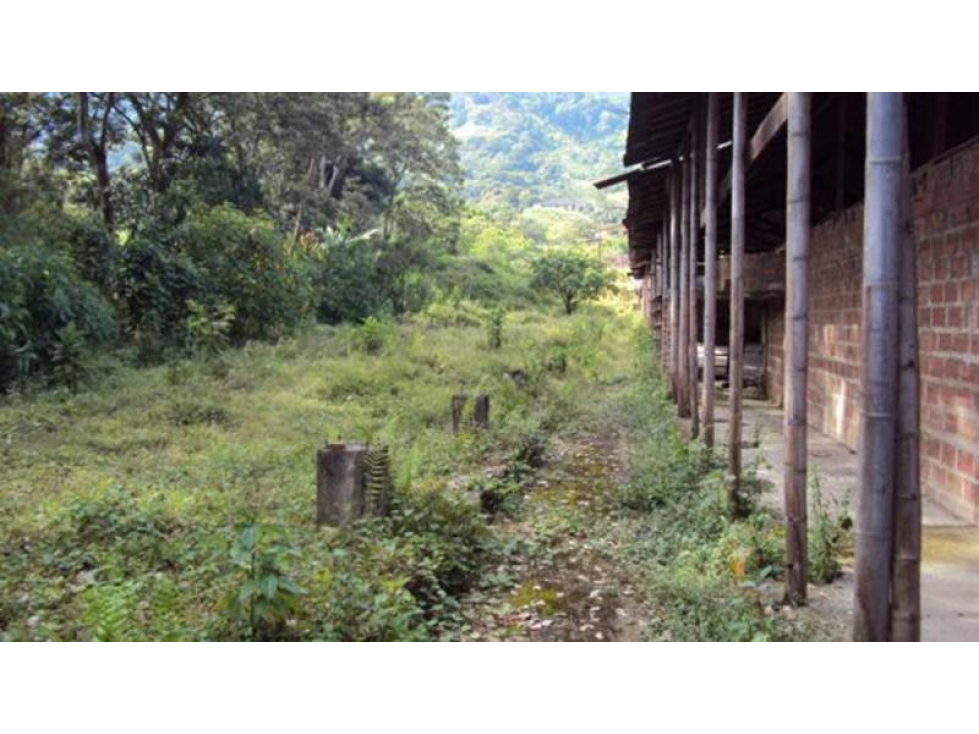Lote en Venta en Girardota — foto 3