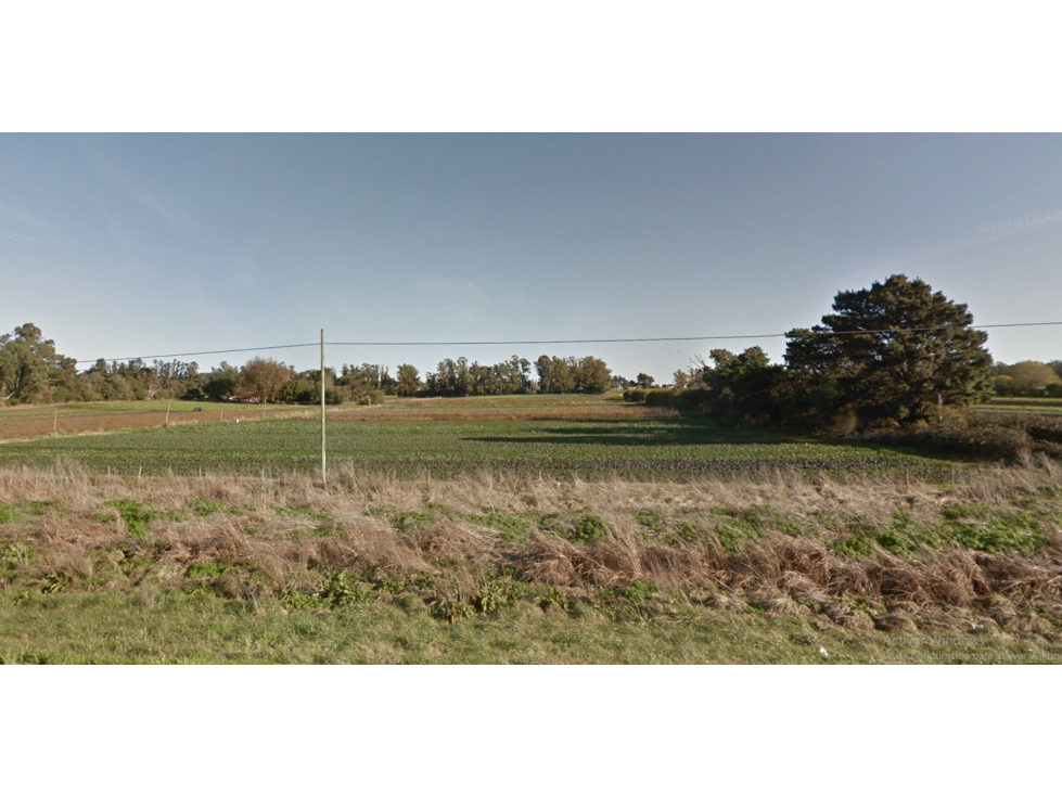 LATORRE PROP VENDE CAMPO SOBRE RUTA 226