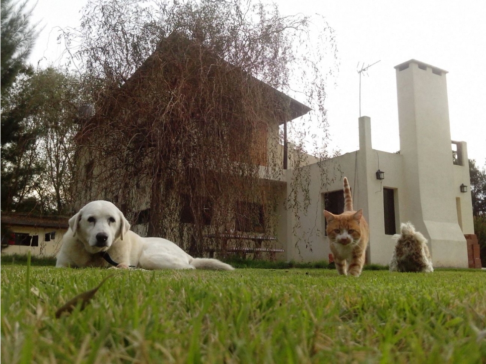 CASA QUINTA EN BARRIO LA PLANTACION - Brandsen — foto 3