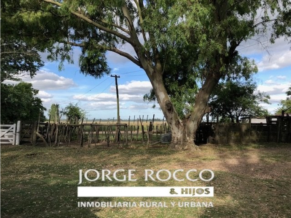 Campo en venta en Brandsen. 126 Has. mixto - 6