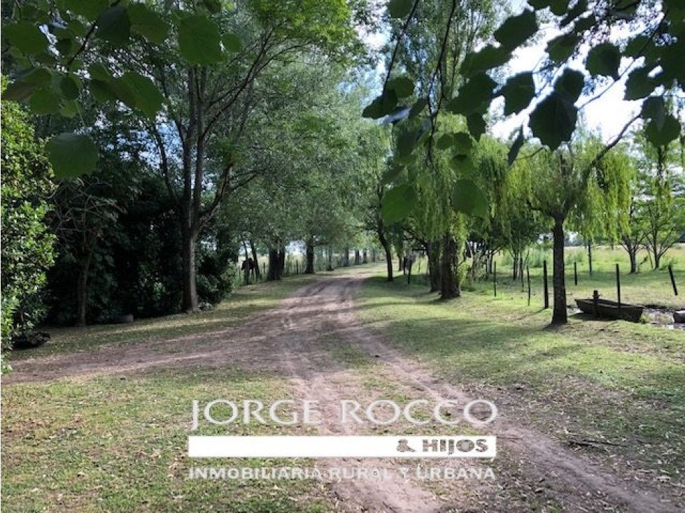 Campo en venta en Brandsen. 126 Has. mixto - 3