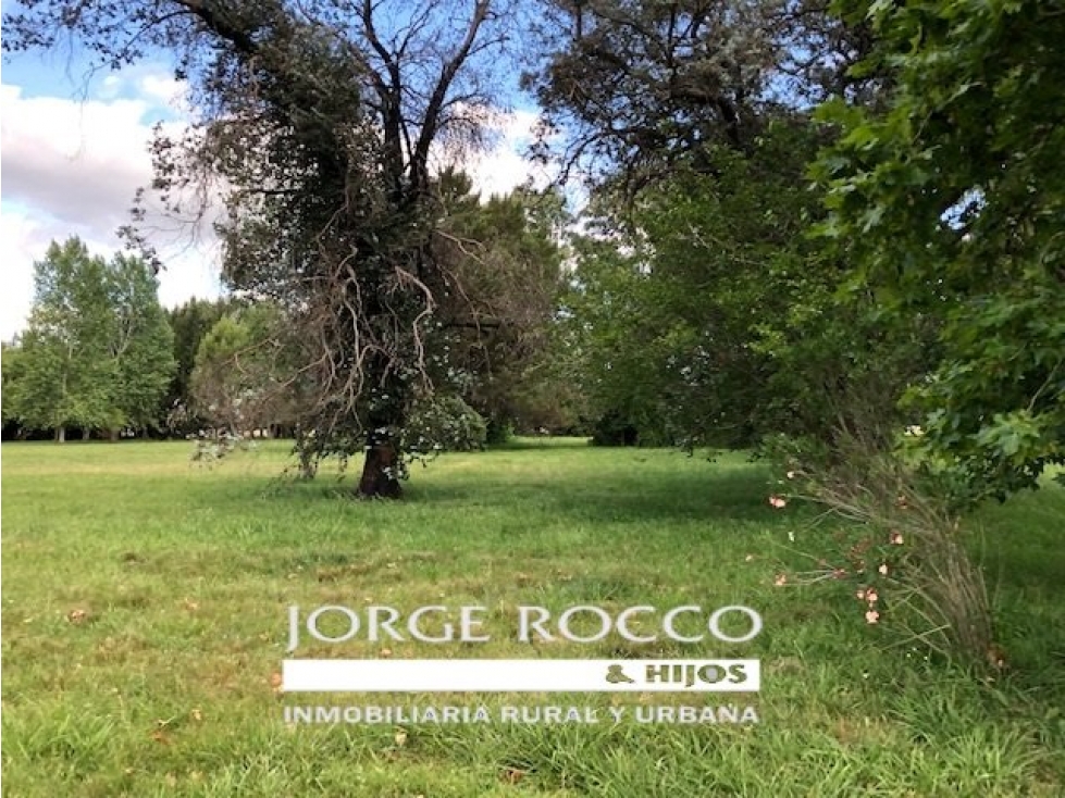 Campo en venta en Brandsen. 126 Has. mixto - 2