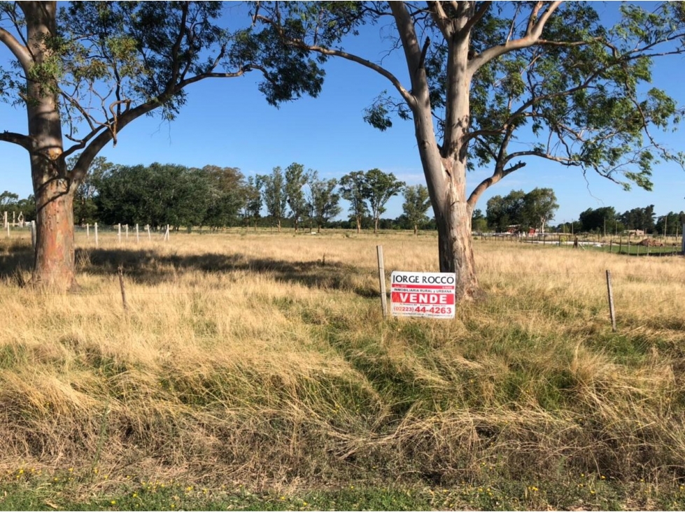 2 lotes quinta de 40x47 cada uno (se venden juntos o separados) - 2