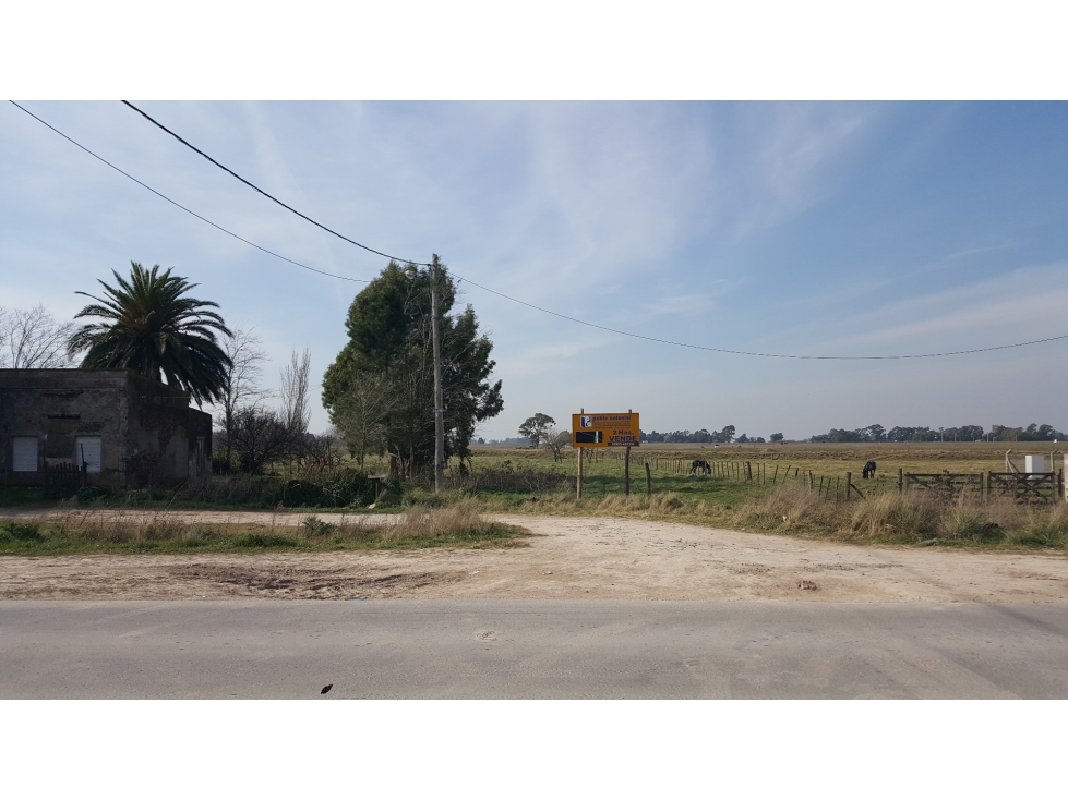 LOTAZO de 2Has. S/Camino de cintura - 2