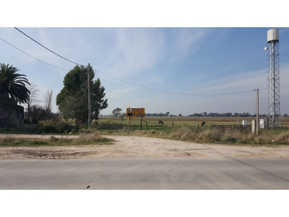 LOTAZO de 2Has. S/Camino de cintura - 3