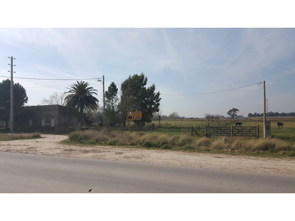 LOTAZO de 2Has. S/Camino de cintura - 4
