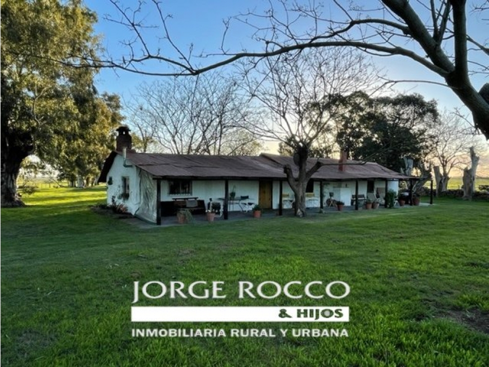 Campo en venta en La Plata. 195 Has mixtas, próximas a Ruta 2 — foto 3