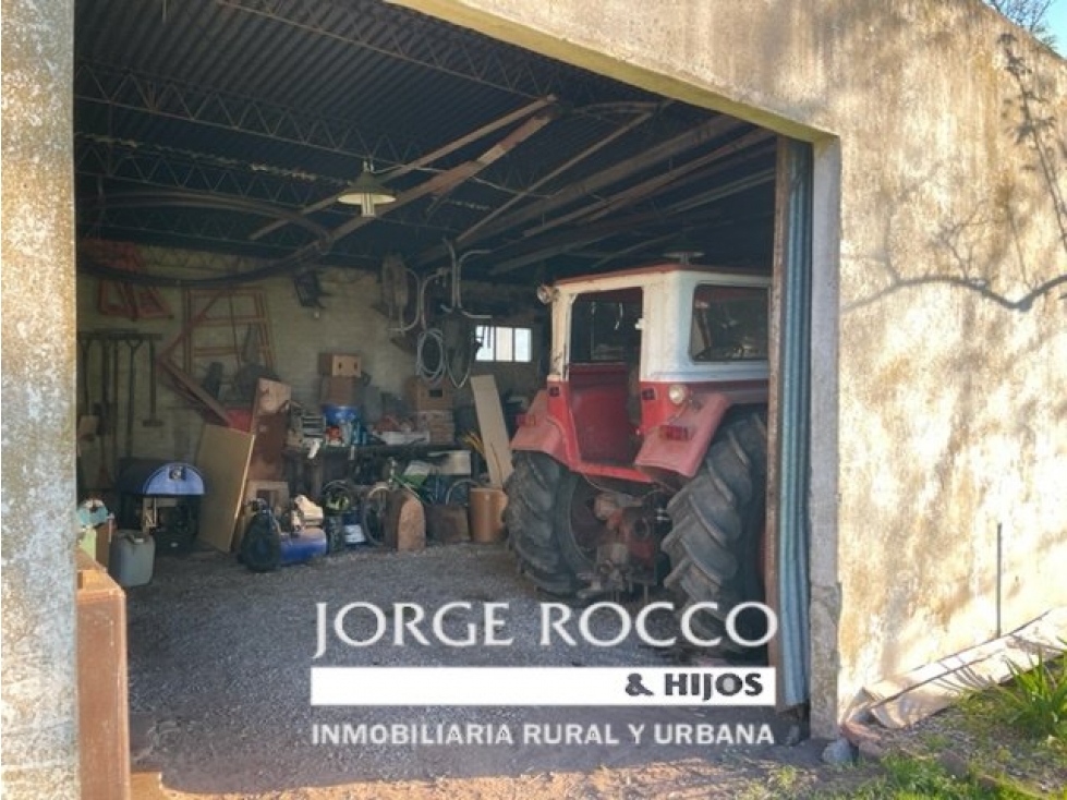 Campo en venta en La Plata. 195 Has mixtas, próximas a Ruta 2 — foto 5