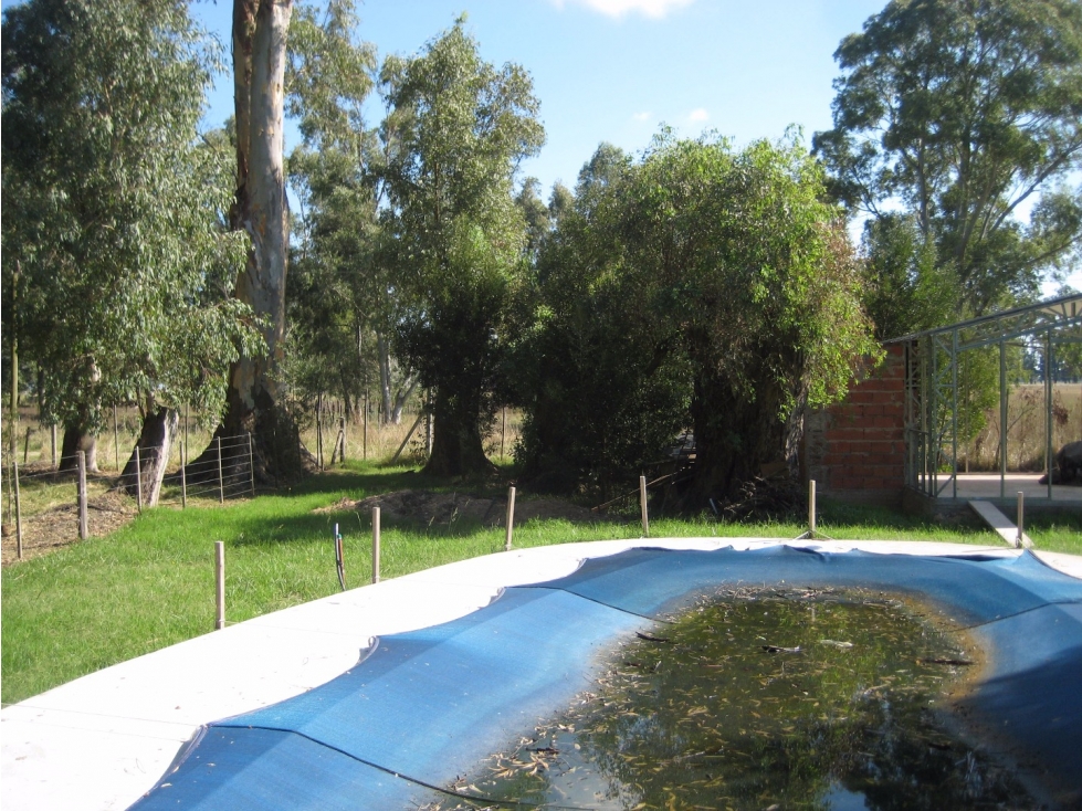 LOTE CON MEJORAS EN BARRIO " LA ARMONÍA" PILETA Y QUINCHO / FINANCIA — foto 6