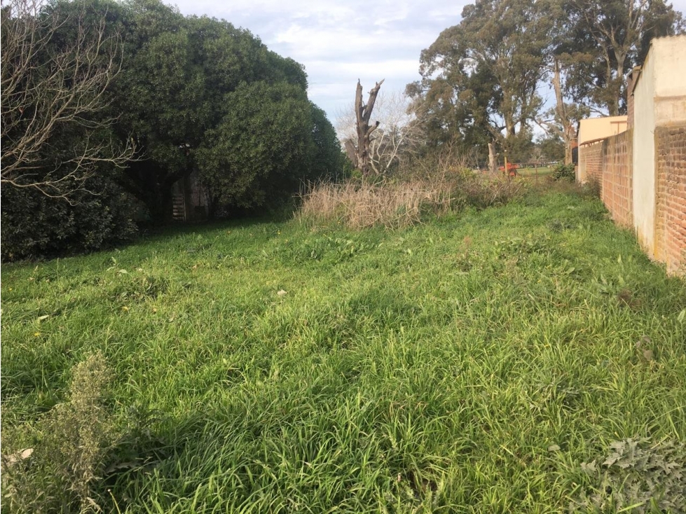 LATORRE PROP. VENDE LOTE DE 505 M2 EN PARQUE PEÑA - ESCRITURADO - 3