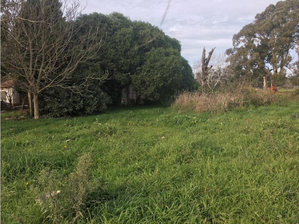 LATORRE PROP. VENDE LOTE DE 505 M2 EN PARQUE PEÑA - ESCRITURADO - 4