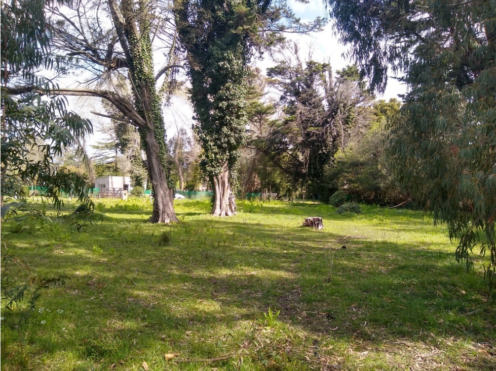 LATORRE PROP. VENDE LOTE DE 1700 M2 EN EL BARRIO EL SOSIEGO - 2