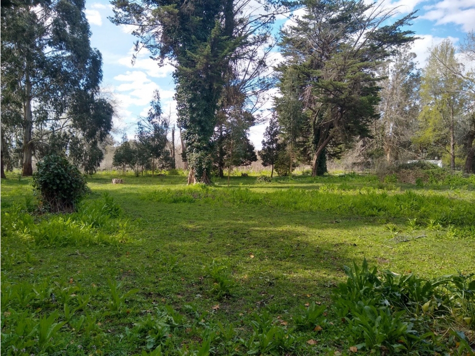 LATORRE PROP. VENDE LOTE DE 1700 M2 EN EL BARRIO EL SOSIEGO - 3