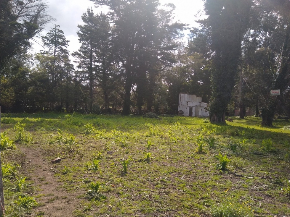 LATORRE PROP. VENDE LOTE DE 1700 M2 EN EL BARRIO EL SOSIEGO - 4