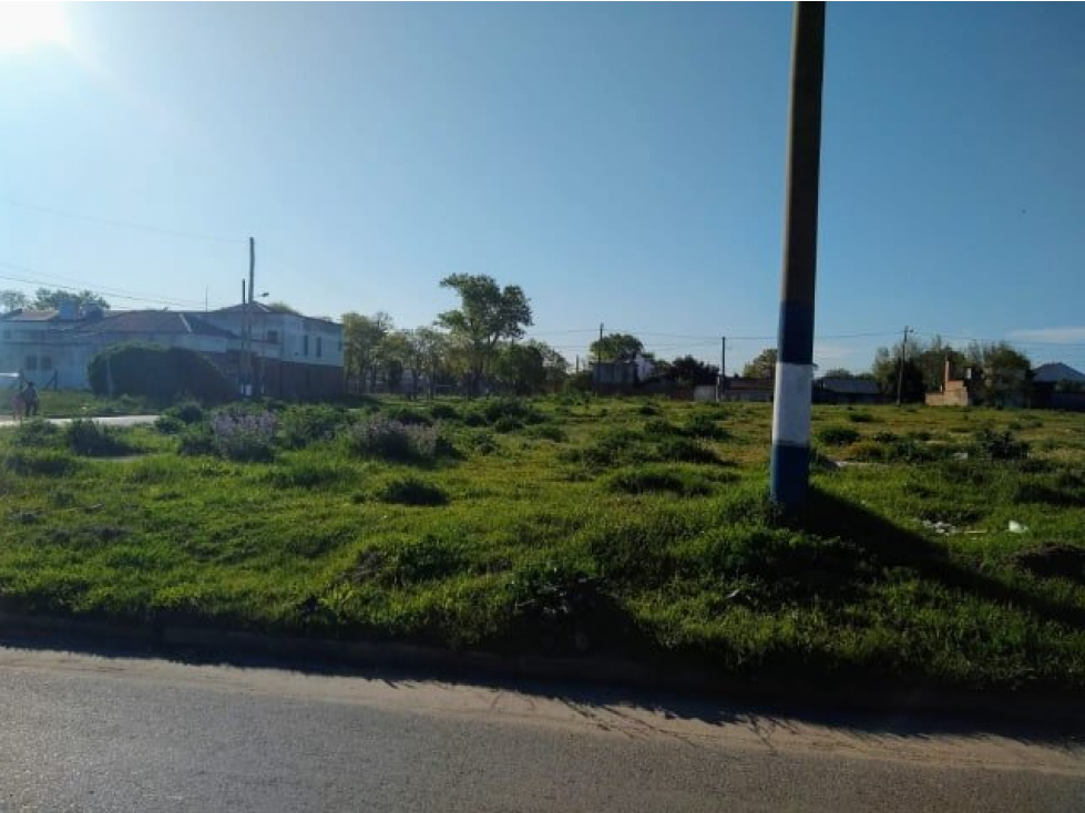 LATORRE PROP VENDE FRACCION DE 5900 M2 - 3