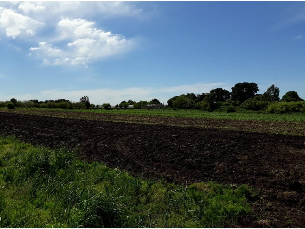LATORRE PROP VENDE CAMPO SOBRE RUTA 226 — foto 3