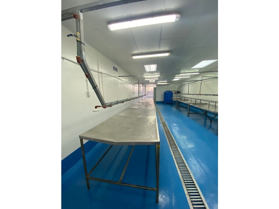 Se Vende Planta Industrial De Mariscos - 3
