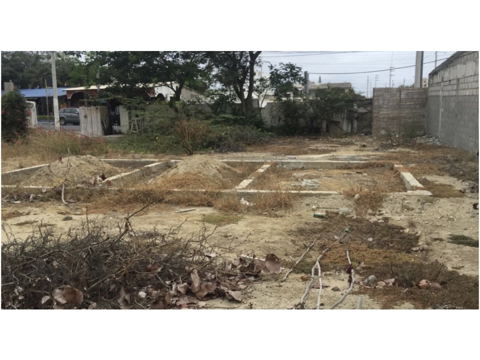 Último Terreno Disponible Con Acceso Al Mar — foto 3